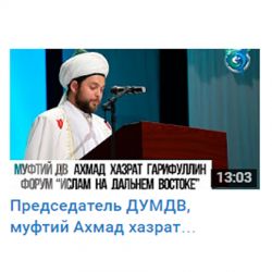 article166.jpg